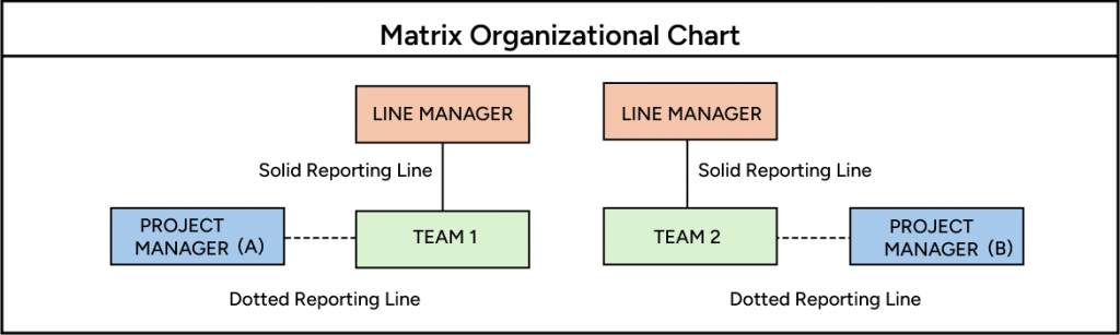 Matrix Organizational Chart