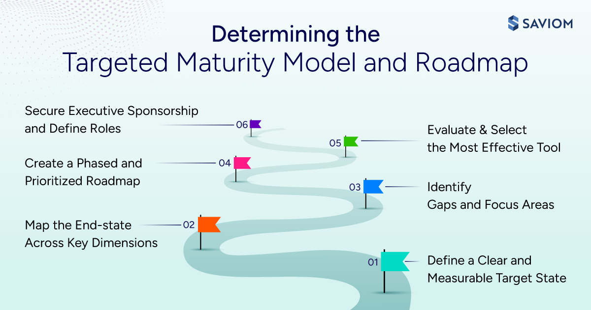 Determining the Targeted Maturity Model and Roadmap