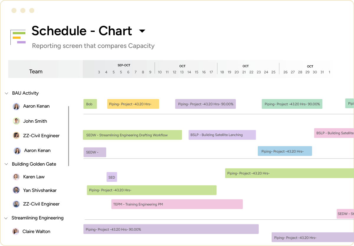 PMO project schedule chart