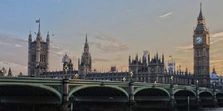 Contact SAVIOM's office at UK