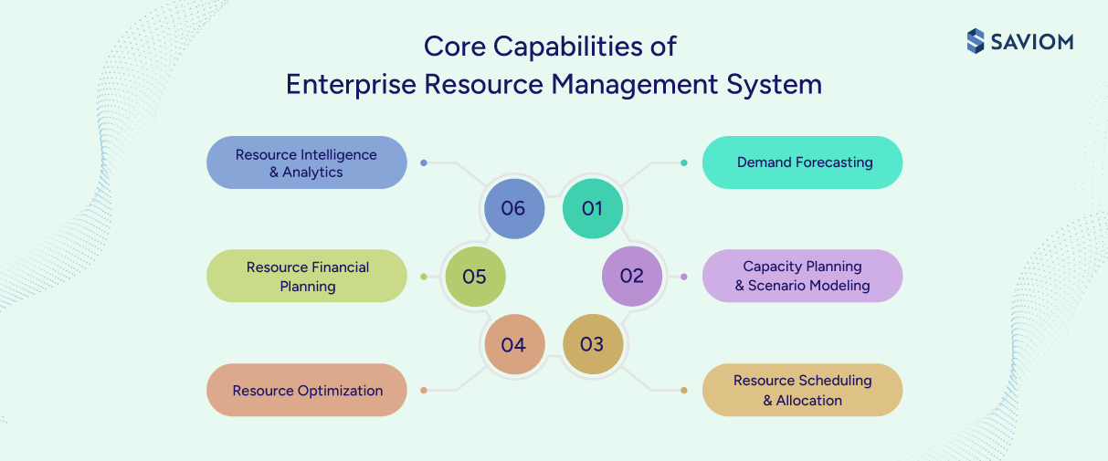 Diagram showcasing the six ERM system capabilities.