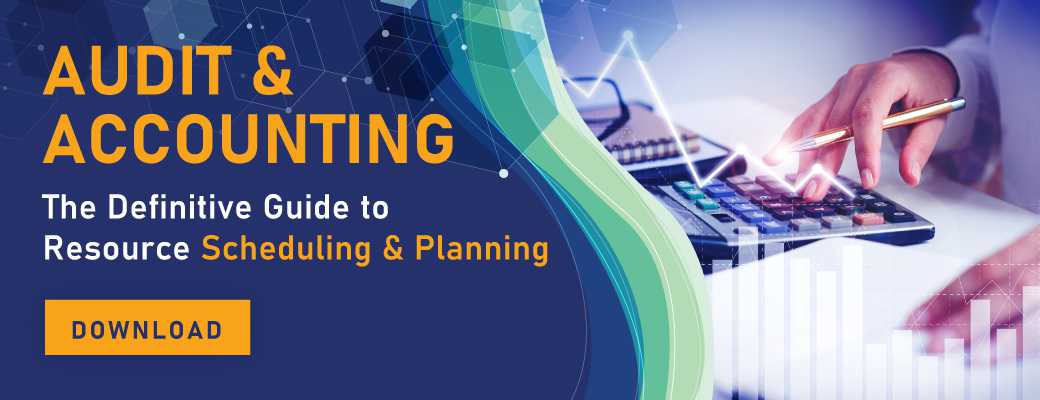 Audit & Accounting: The Definitive Guide to Resource Scheduling and Planning